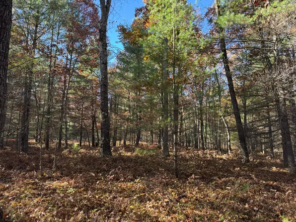 PARCEL 2 E County Line Rd, Free Soil, MI 49411