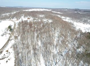 TBD Stump Pond Road, Livingston Manor, NY 12758