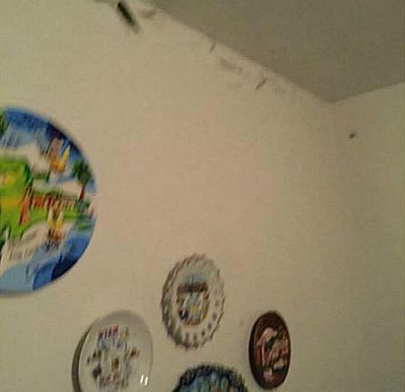 5th image of 3758 SW 16th St