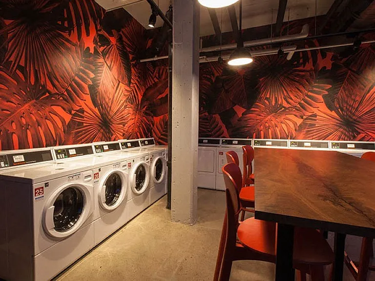 Laundry area with bold palm wallpaper at Archer Tower in Denver, CO