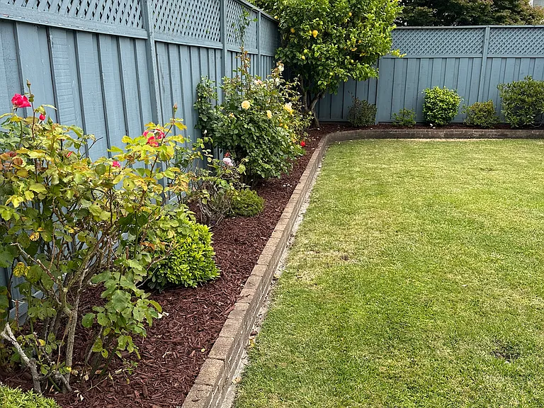 Sun trenched rear yard, high fences with privacy lattice, and lots of lemons.