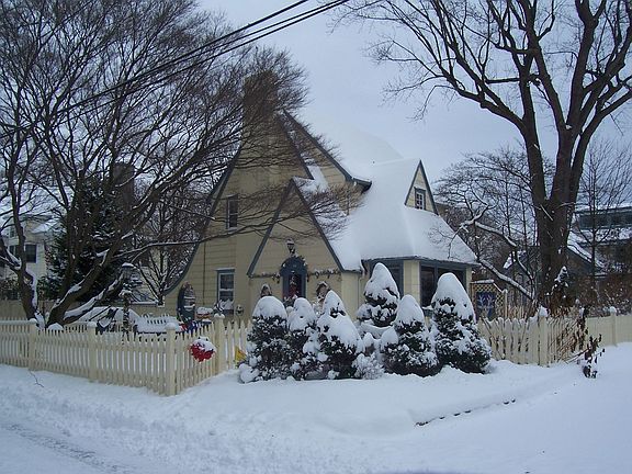 Front view in snow