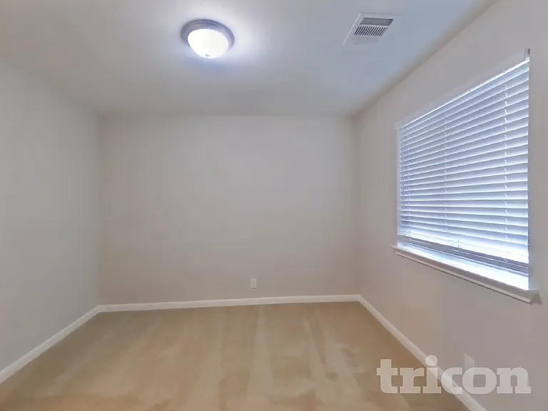 3931 Mistflower Dr — Photo 12