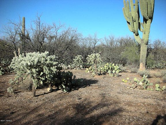 5th image of 4855 N Placita Pajarillo