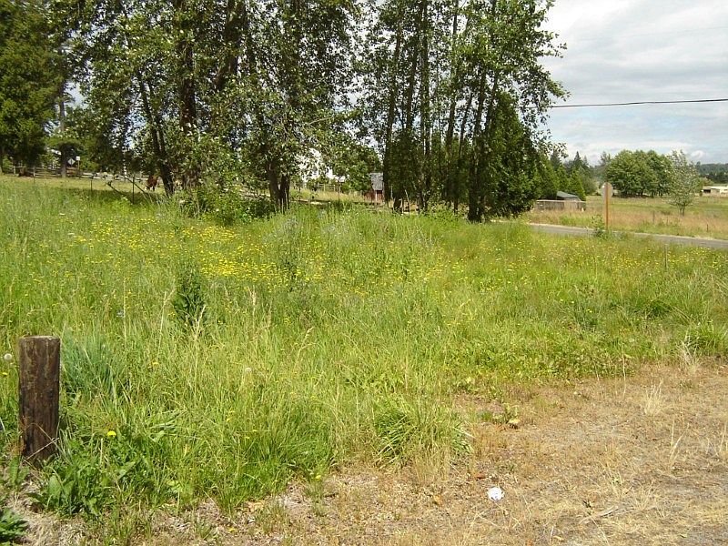 Great corner lot