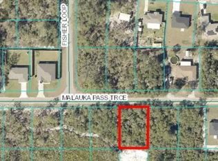 17 Malauka Pass Trce, Ocklawaha, FL 32179