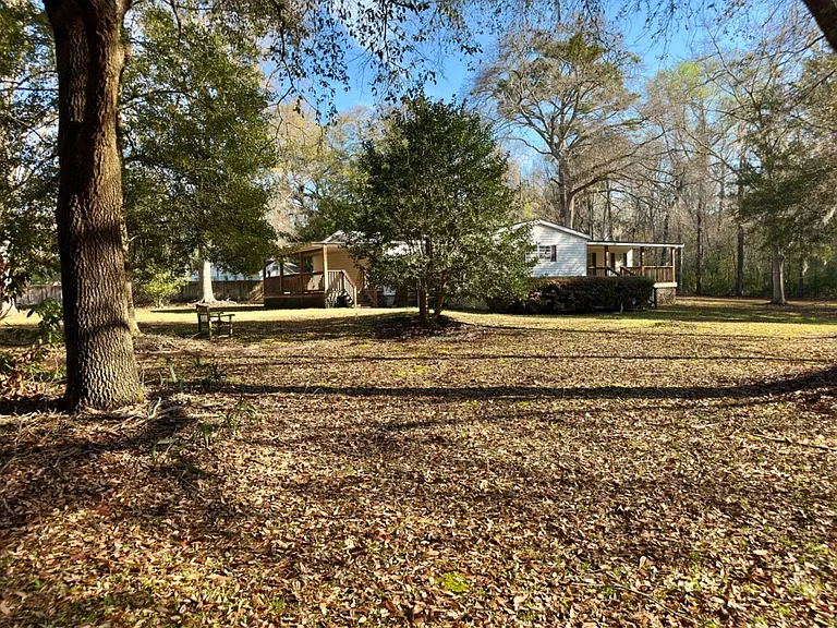 Beautiful hollies, large cedars, live oaks, citrus tree, red oaks and pines are some of the specimen trees on the property, providing visual variety and shade.