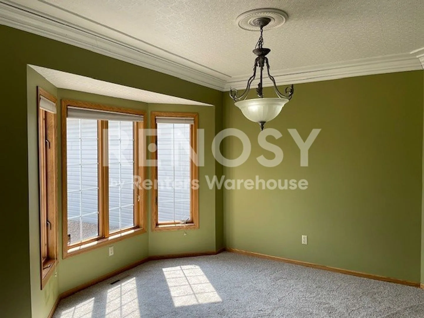 4800 Sq. Ft. 5 Bedroom 4.5 Bath Home in Woodbury — Photo 4