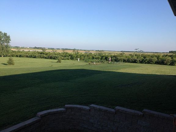 backyard view in summer