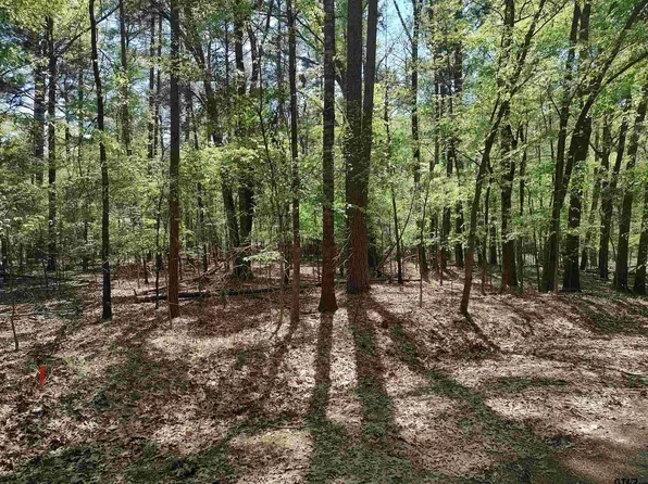 Crooked Crk, Mount Vernon, TX 75457