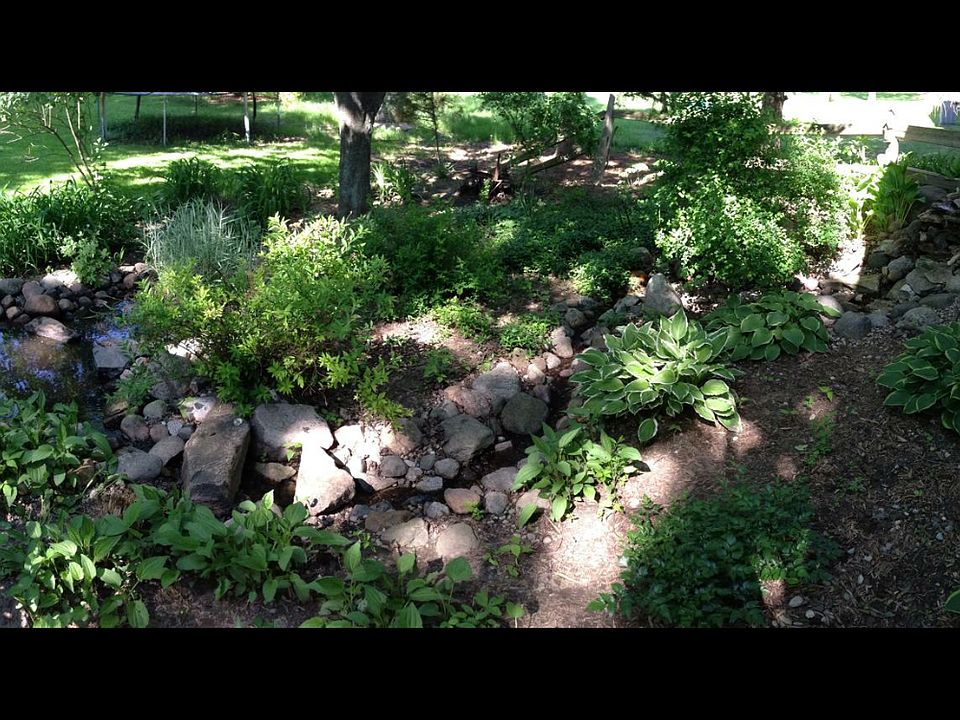 Stream to the rock pond