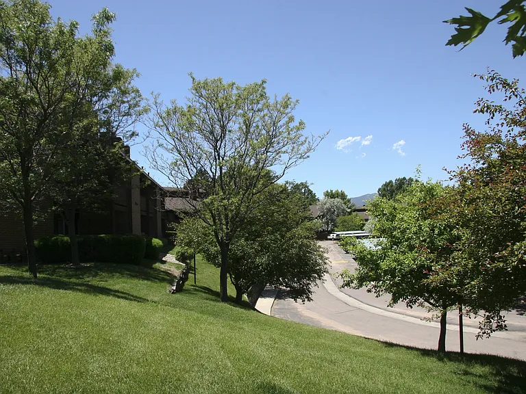 Windtree — Photo 23