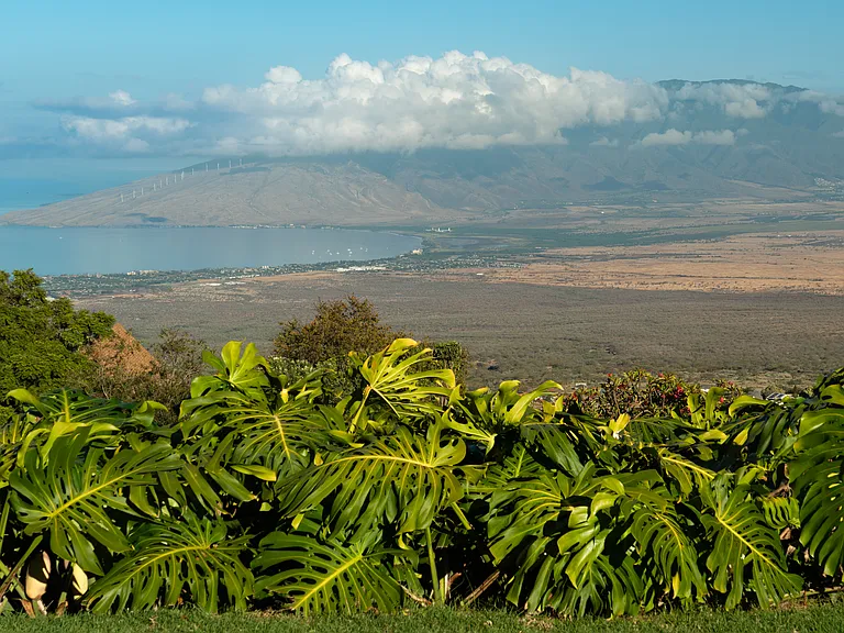 Kula Hwy — Photo 9
