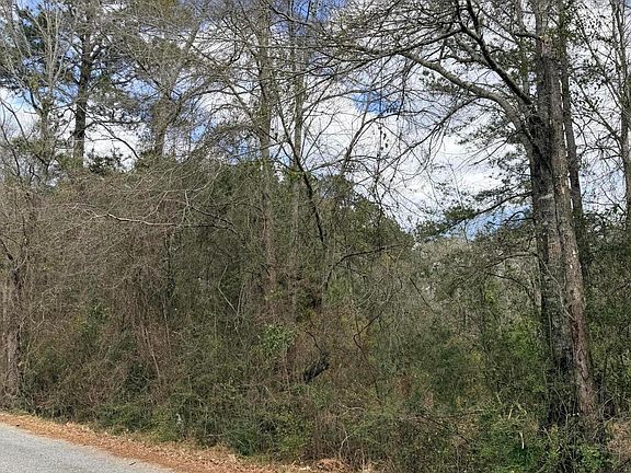 2nd image of Joel Lang Rd Lot 4