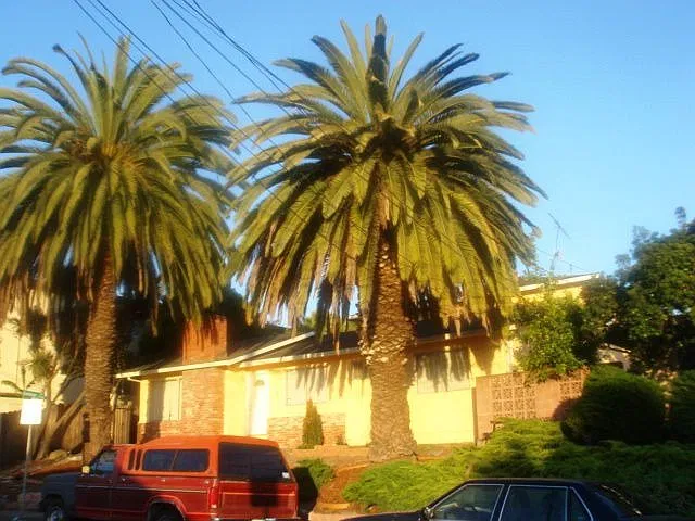 View from Del Mar ave.