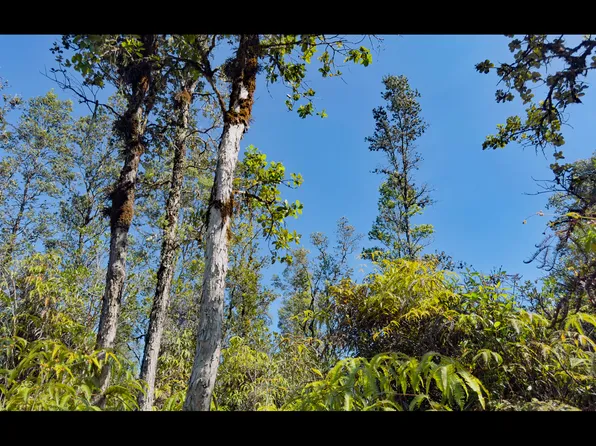 Road 2 Lot 2910, Mountain View, HI 96771