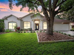 3813 Triple Jump St, Valrico, FL 33596