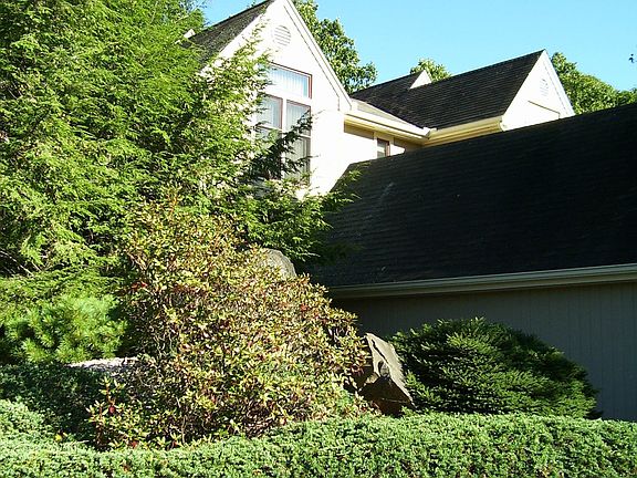 Summer scene at Sylvan Ridge