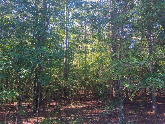 2nd image of LOT 22 Sugar Creek Rd N