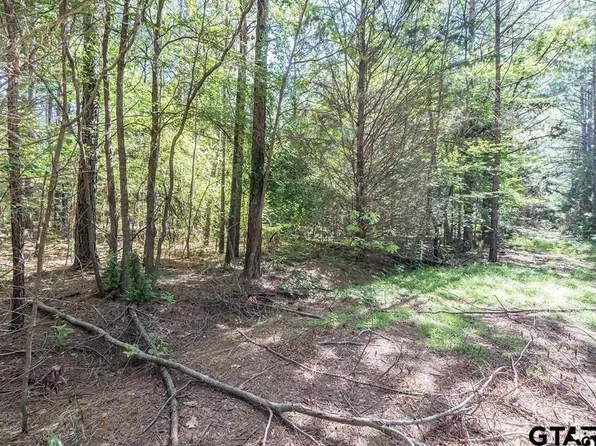 County Road 4609 Parcel 2, Troup, TX 75789