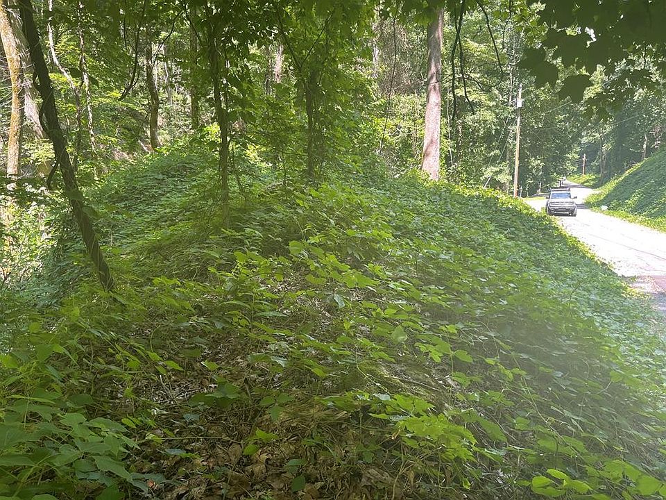 1st image of 0 Black Walnut Flats Rd Lot 7