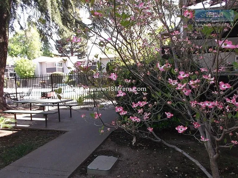 Menlo Pointe — Photo 35