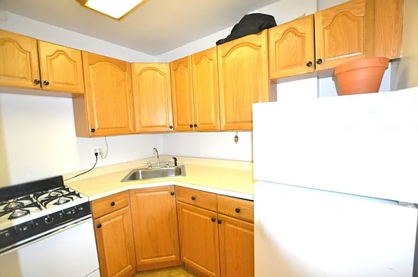 Rented by Citi Habitats | media 8