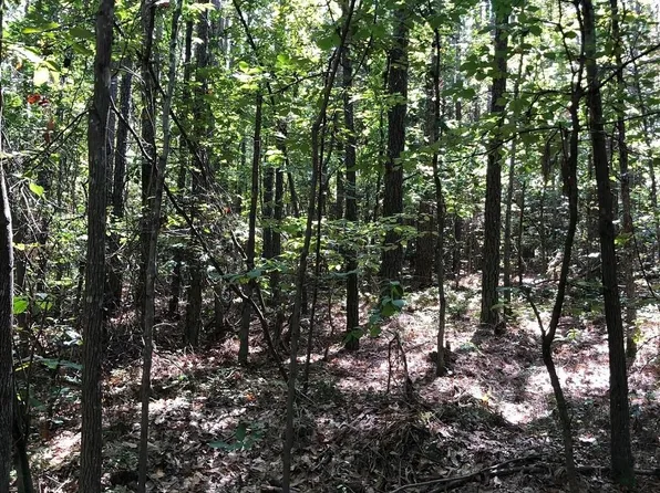 0 Dave Kings Rd, Rockingham, NC 28379