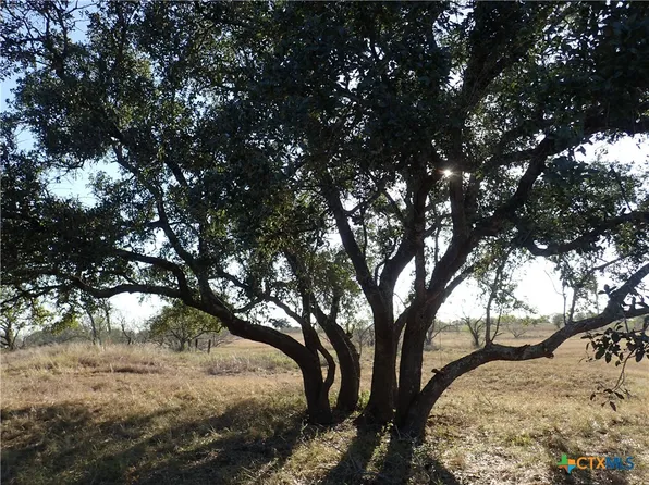 1250 Chalk Rd, Harwood, TX 78632