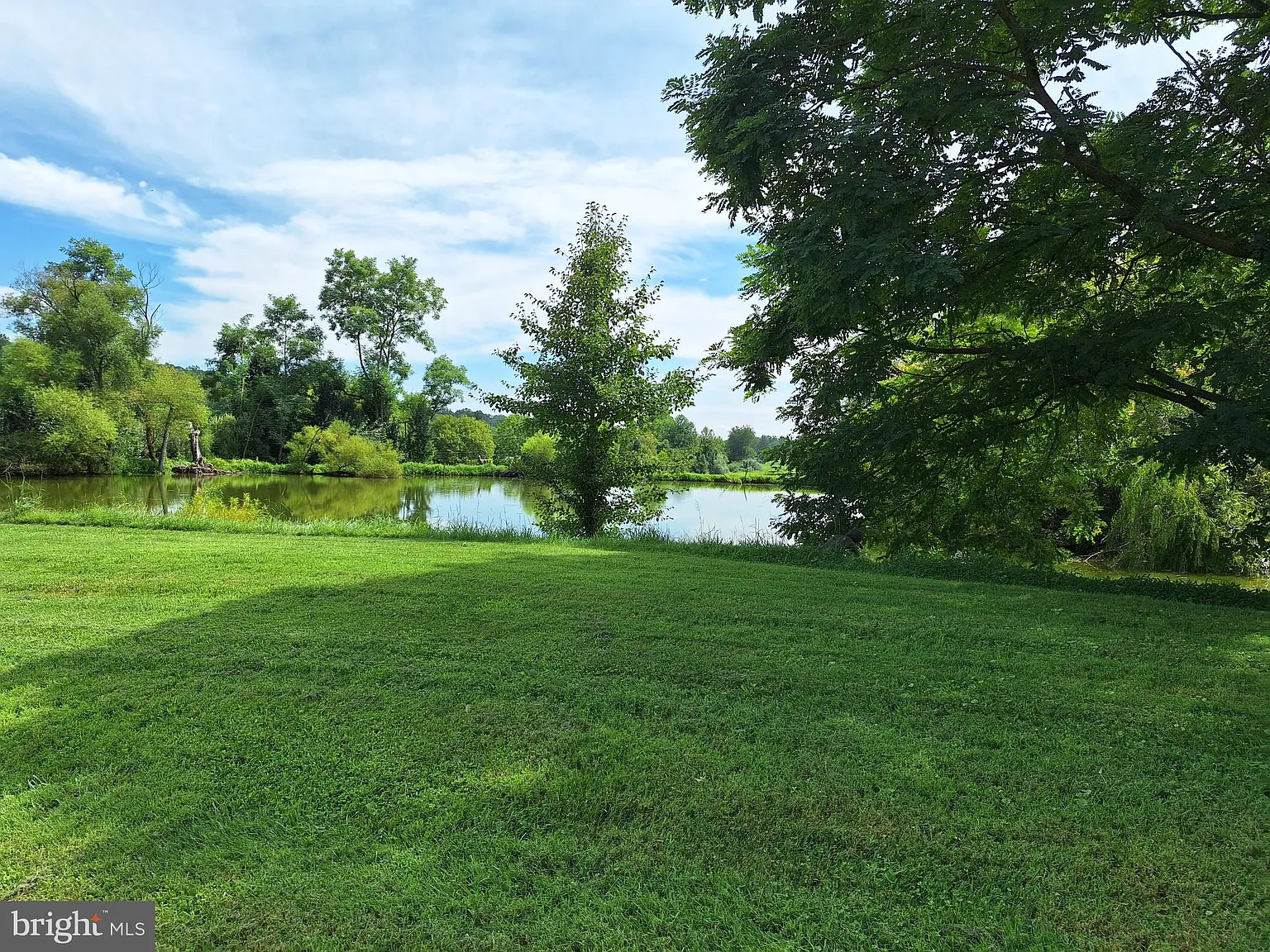 2 bed, 1.5 bath, 2200 sqft, $2,500 — Photo 3
