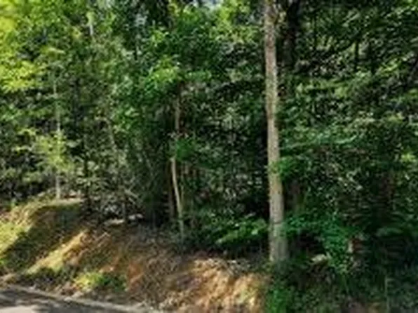 Beverly Hills Dr, Sevierville, TN 37862