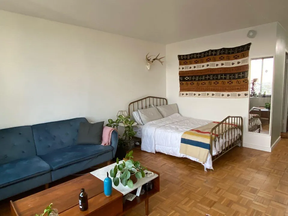 604 S Washington Sq #1113