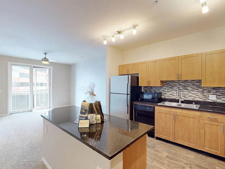 Apartment Kitchen with Stainless Steel Appliances, Dining and Living Room with wood floors and Patio.