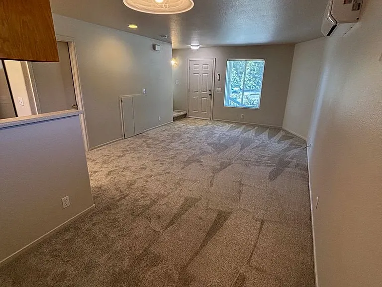 1732 Mount Olive Dr — Photo 3