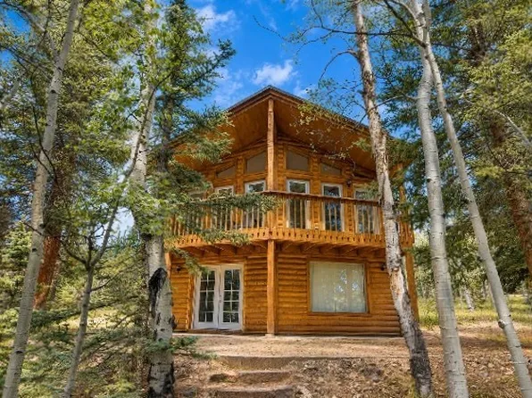 38 Grebe Lane, Como, CO 80432