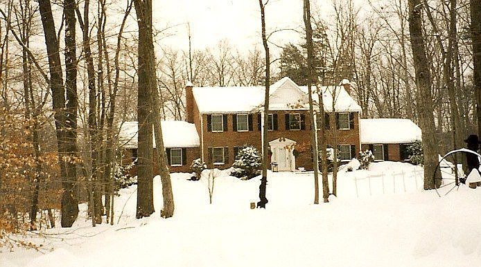 DOUBLE WINGED COLONIAL