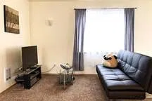 2 bed, 1.5 bath, 1030 sqft, $2,590 — Photo 4