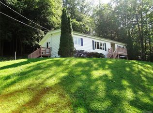 9625 Monk Hill Rd, East Otto, NY 14729