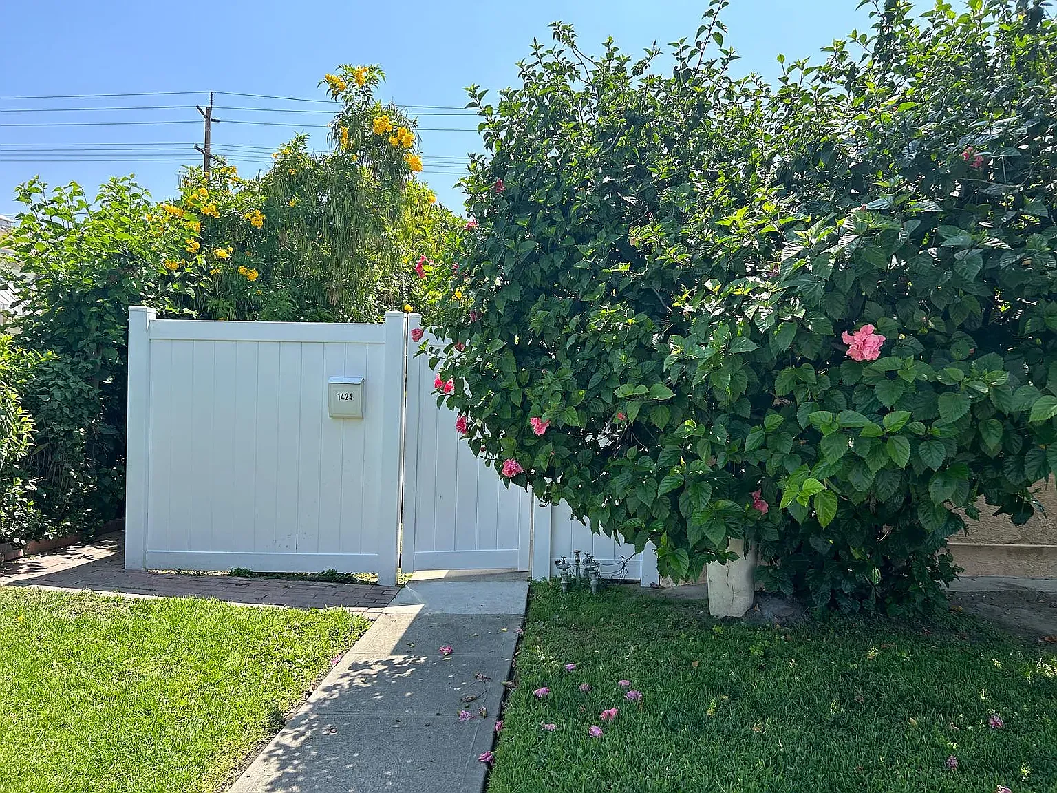 1 bed, 550 sqft, $2,200 — Photo 1
