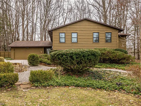 10676 Prouty Rd, Painesville, OH 44077