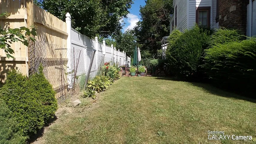 back yard