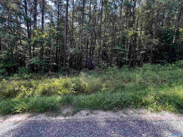 County Road 592, Leesburg, AL 35983