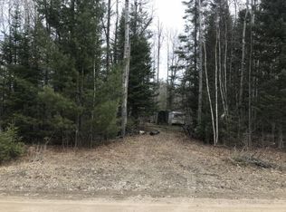 690 Harbor View Dr, Mio, MI 48647