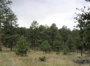 223 Cheyenne Rd, Westcliffe, CO 81252