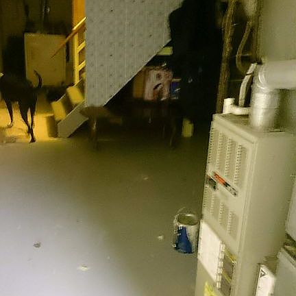 2nd image of 1207 E 11th St