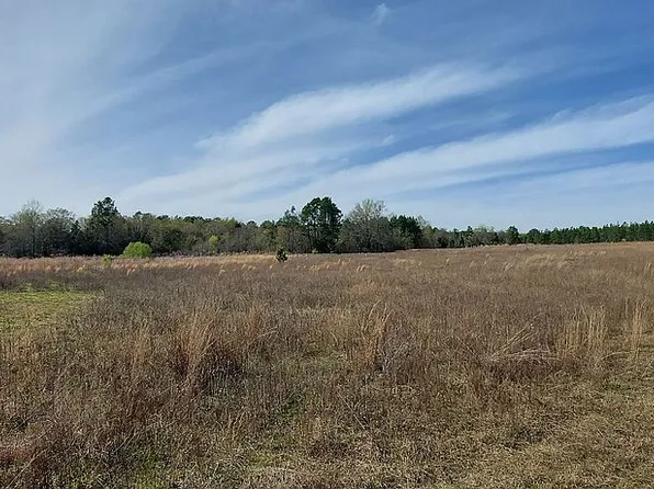 25379 Highway 151, Mc Bee, SC 29101