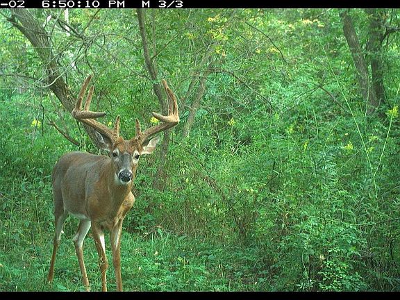 3rd image of 00 Wheat Hollow Road