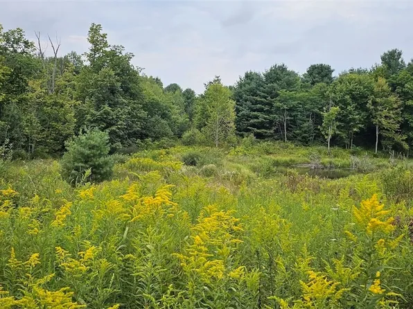 1569 Oakdale Rd, Johnson City, NY 13790