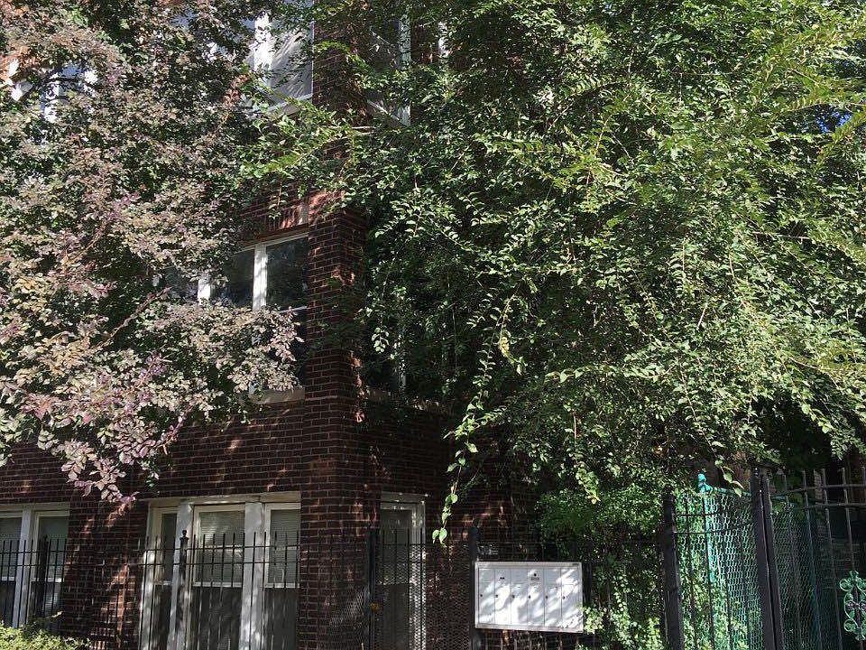 1st image of 1933 N Fairfield Ave #1A