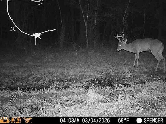 3rd image of Bogue Chitto Rd